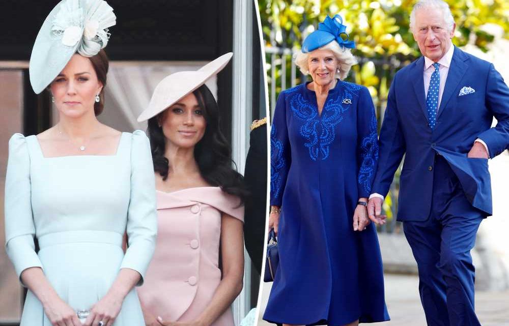 Kate Middleton told Meghan Markle to ‘sit at the back’ if she attended coronation