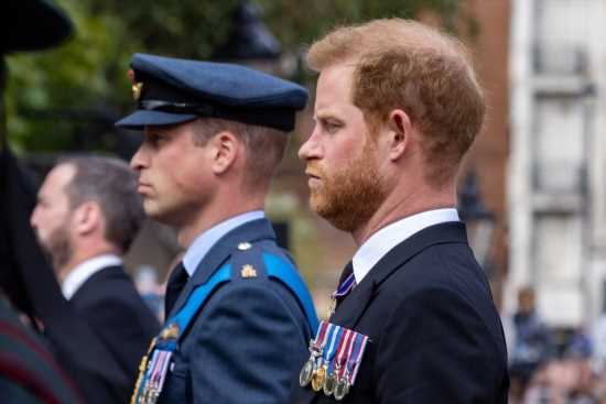 Prince Harry: Prince William received a ‘very large sum of money’ from The Sun