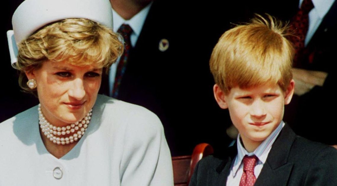 Princess Diana smacked Prince Harry for ‘casual racism’, new book claims