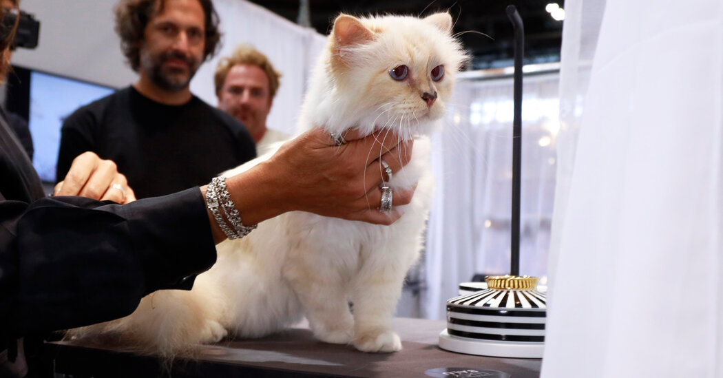 Is Choupette, Karl Lagerfeld’s Cat, Going to the Met Gala?
