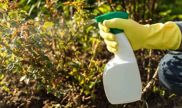 Money savvy mum says she made ‘the best weed killer’ – and all for just £1.18