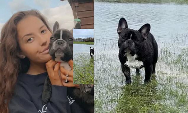 Dog walker issues urgent warning after her French Bulldog