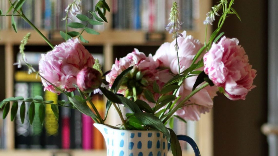 Florist’s tips for keeping fresh peonies ‘looking their best’ for longer