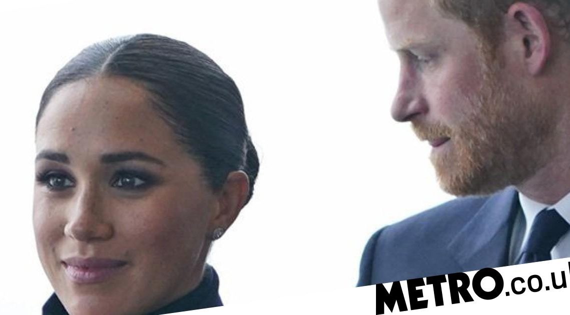 Jeremy Vine show guest blasted after calling Meghan Markle 'Afro whatever'