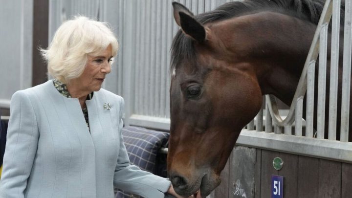 Queen Camilla styles apt horse shoe brooch as she unveils plaque in Newmarket