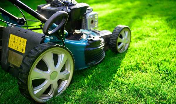Garden experts share ‘best time’ to mow your lawn in summer to keep it healthy