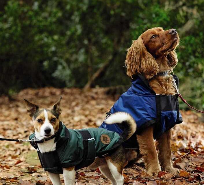9 best waterproof dog coats with legs 2023; including all-in-one coats | The Sun
