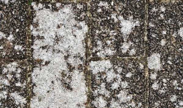 60p item to ‘effectively kill’ white spots on driveways and ‘prevent regrowth’