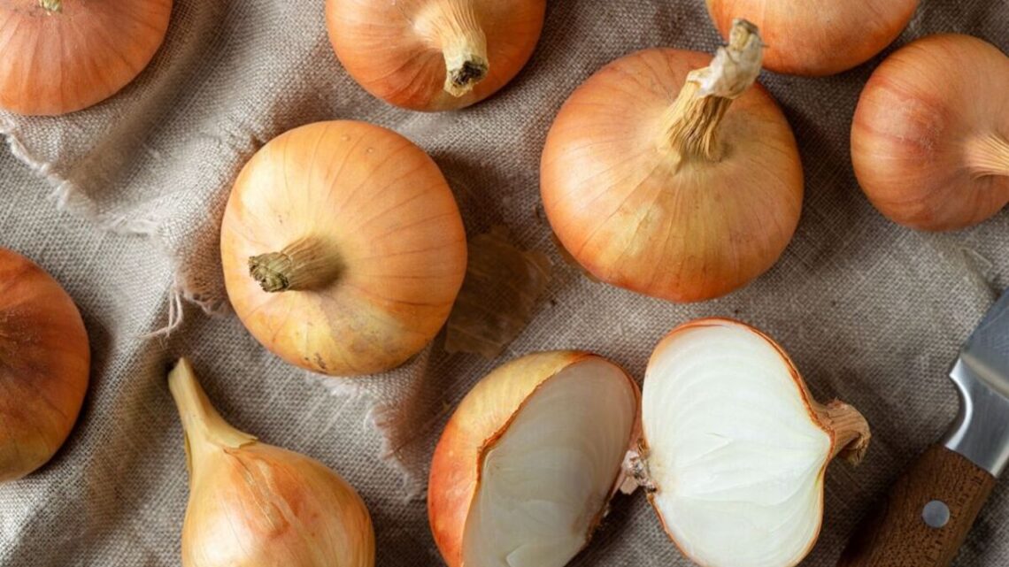 Keep onions fresh and flavourful up to one year – how to store them explained