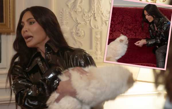 Watch Kim Kardashian Get ATTACKED By Karl Lagerfeld's Cat Choupette!