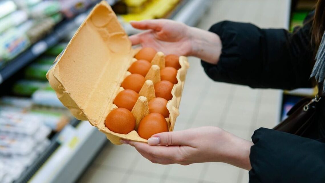 Eggs will have ‘perfect level of protection’ to stay fresh in one common spot