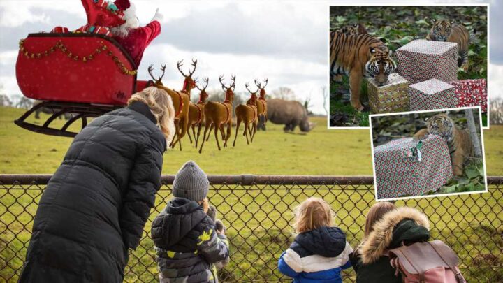 Enjoy a family day out at the zoo for under £20 with clever ticket hack – and your kids can meet Santa | The Sun