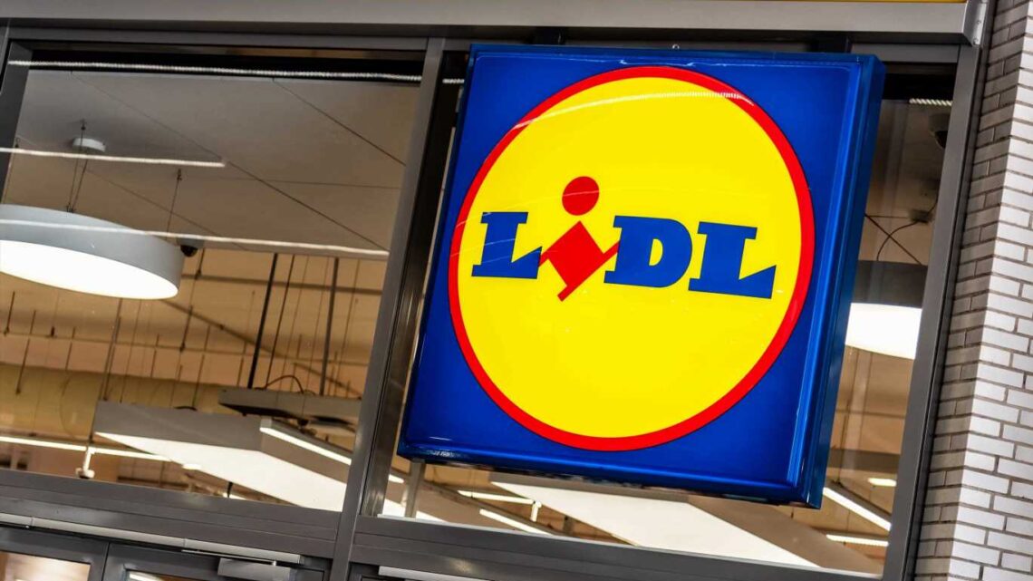 Lidl’s sell-out winter gadget to avoid putting the heating on is returning to shelves TODAY and costs just 1p to run | The Sun