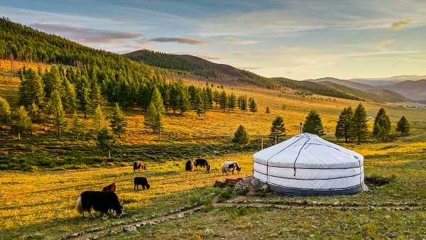 Mongolia&apos;s come to the West End, but you can&apos;t beat the real thing