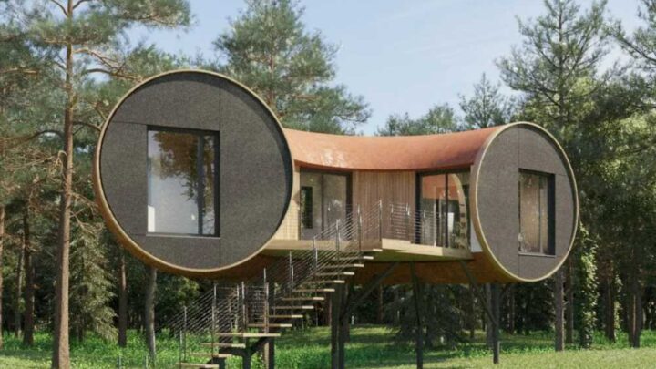 New treehouses 'like a 5-star hotel' set to open in UK – with country’s first forest megaphone and stunning views | The Sun