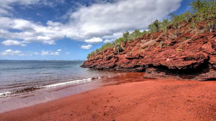 The 'unreal' red sand beach with sea lions and flamingos | The Sun